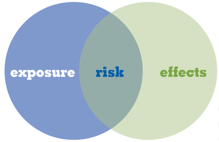 Environmental Risk Assessments